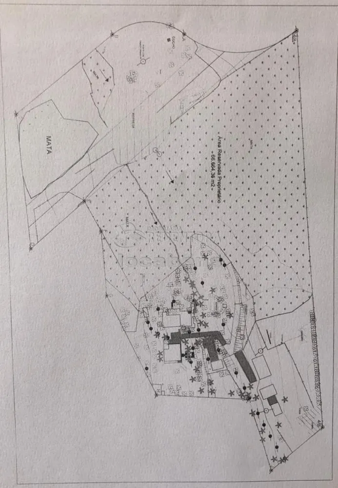 Sítio, 7 hectares - Foto 8