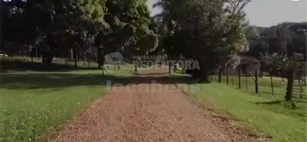 Sítio, 7 hectares - Foto 4