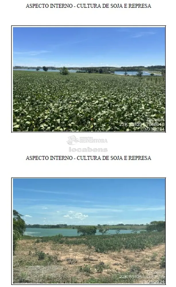 Fazenda, 115 hectares - Foto 8