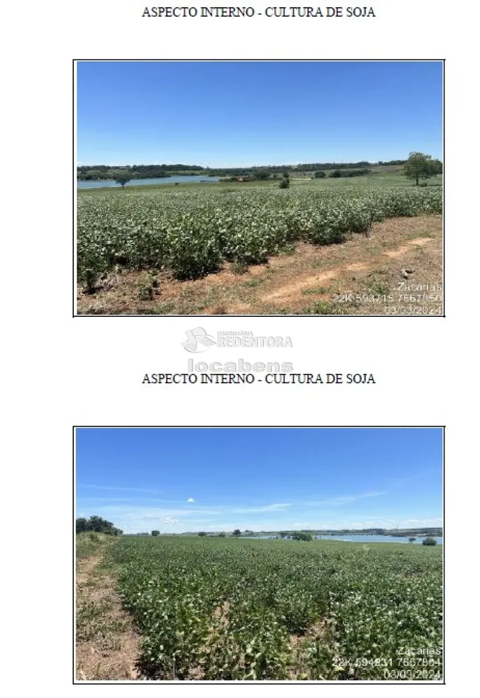 Fazenda, 115 hectares - Foto 3