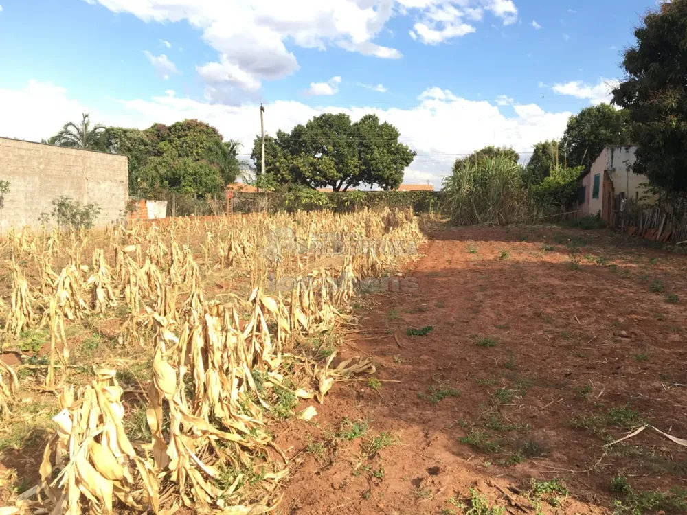 Terreno, 1000 m² - Foto 4
