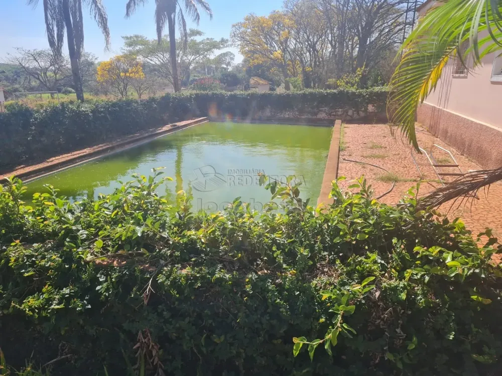 Fazenda, 63 hectares - Foto 7