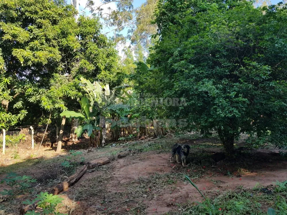 Sítio, 5 quartos, 4 hectares - Foto 1