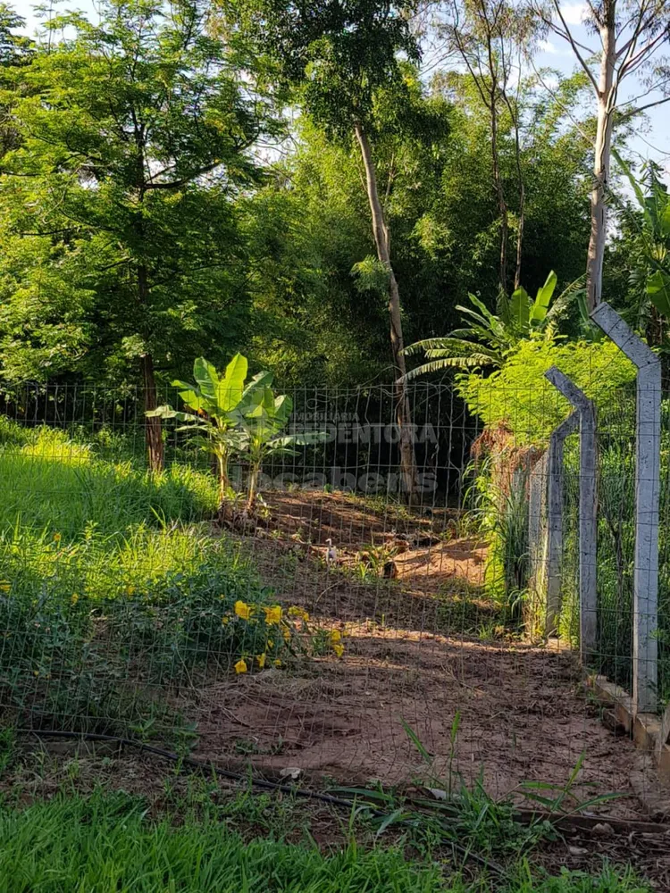Sítio, 5 quartos, 4 hectares - Foto 2