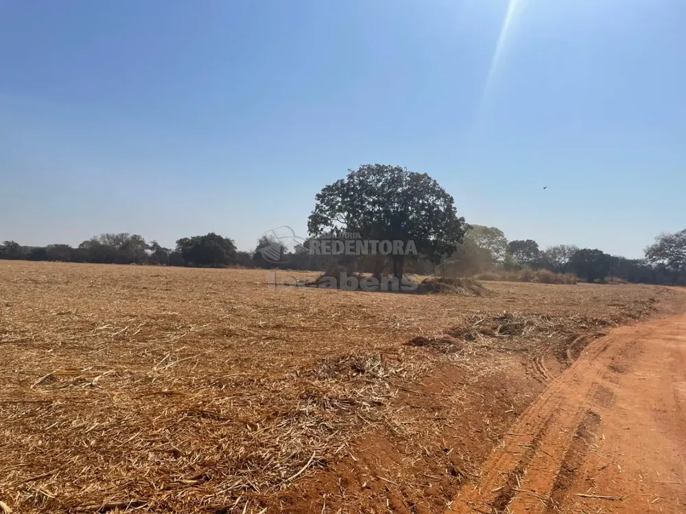 Fazenda, 207 hectares - Foto 8
