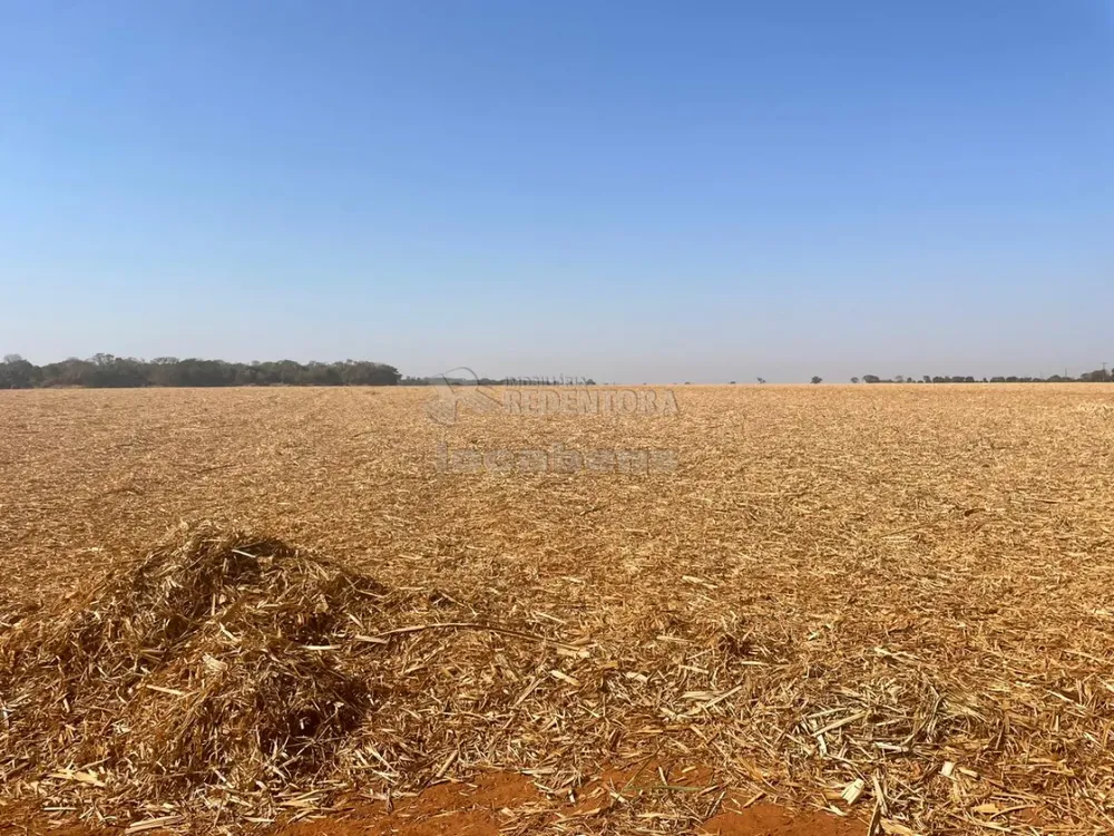 Fazenda, 207 hectares - Foto 6