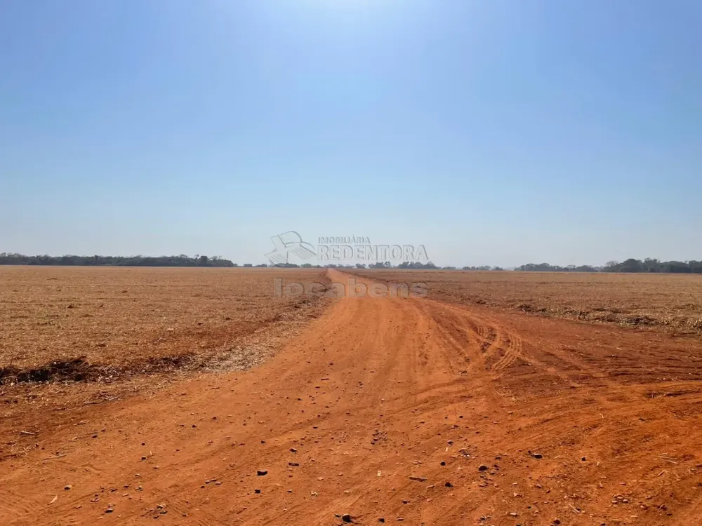 Fazenda, 207 hectares - Foto 4