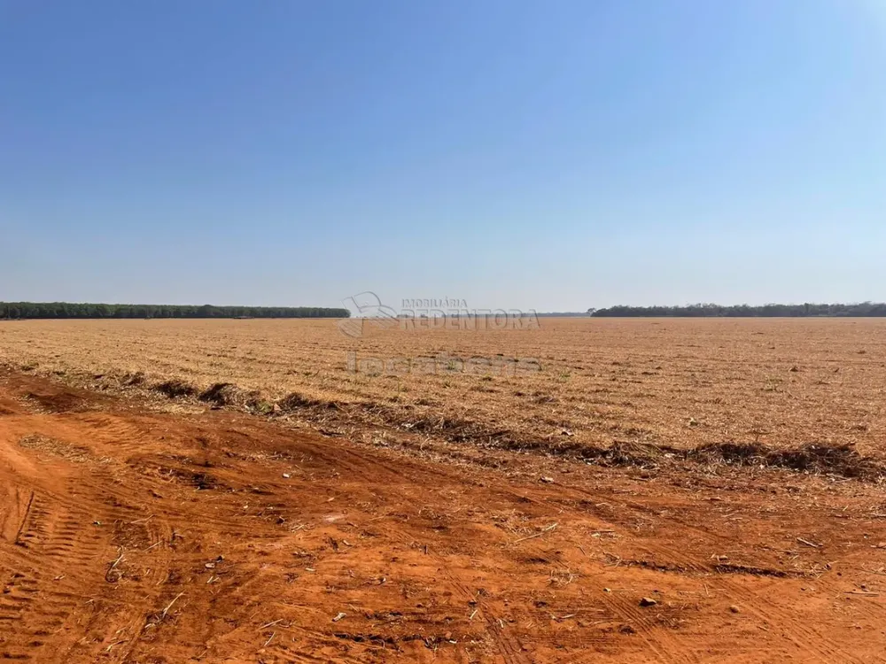 Fazenda, 207 hectares - Foto 1