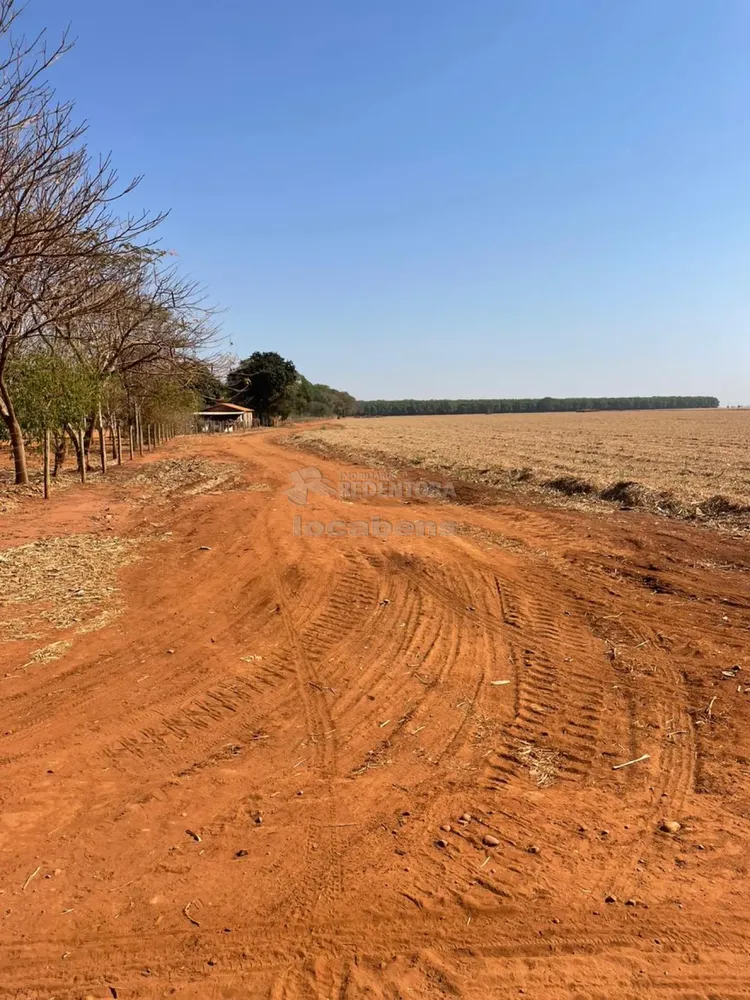Fazenda, 207 hectares - Foto 3