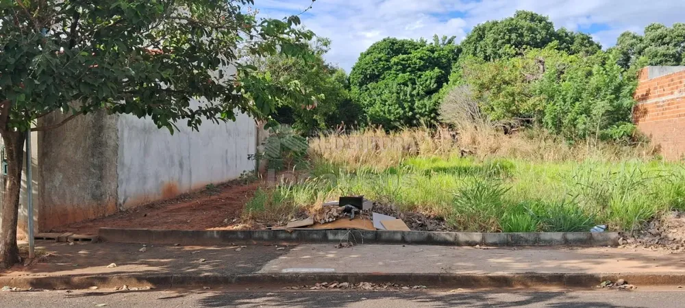 Terreno, 226 m² - Foto 1