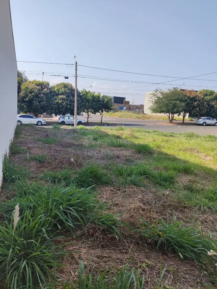 Terreno, 290 m² - Foto 3