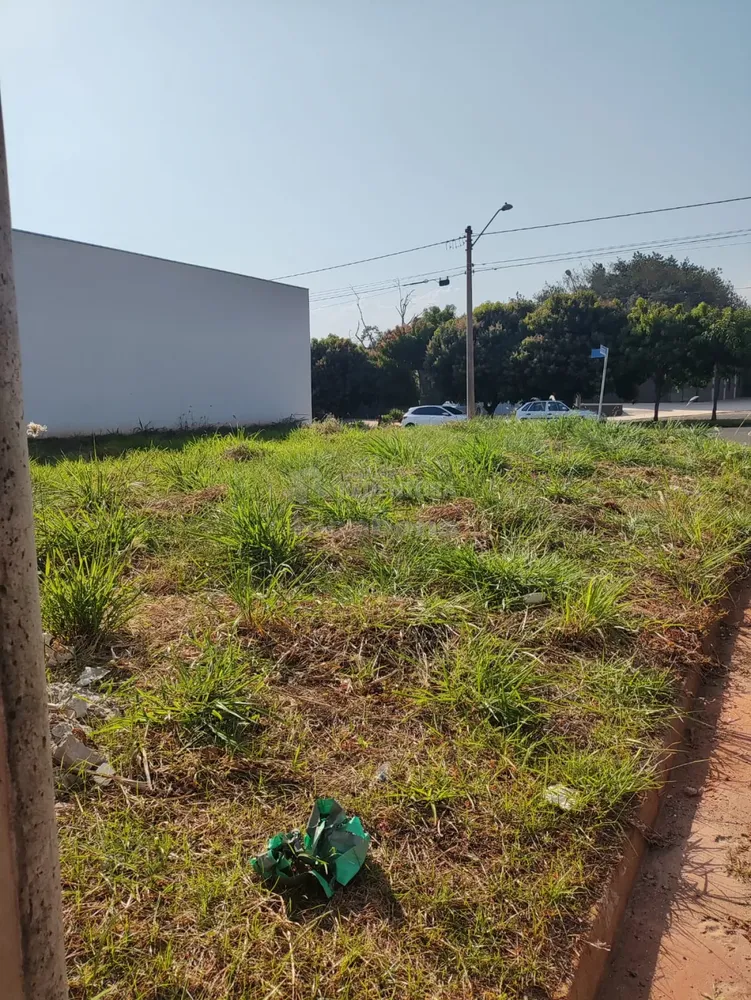 Terreno, 290 m² - Foto 4