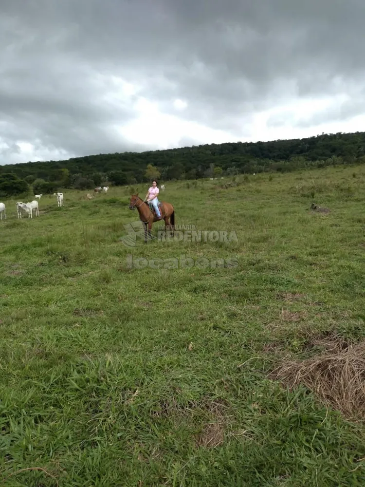 Fazenda, 515 hectares - Foto 2