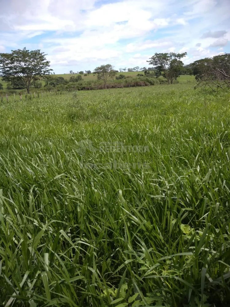 Fazenda, 515 hectares - Foto 3