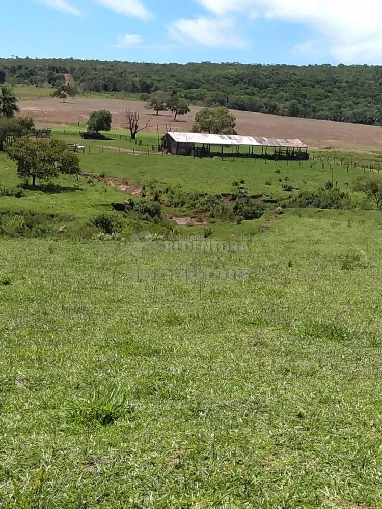 Fazenda, 515 hectares - Foto 6