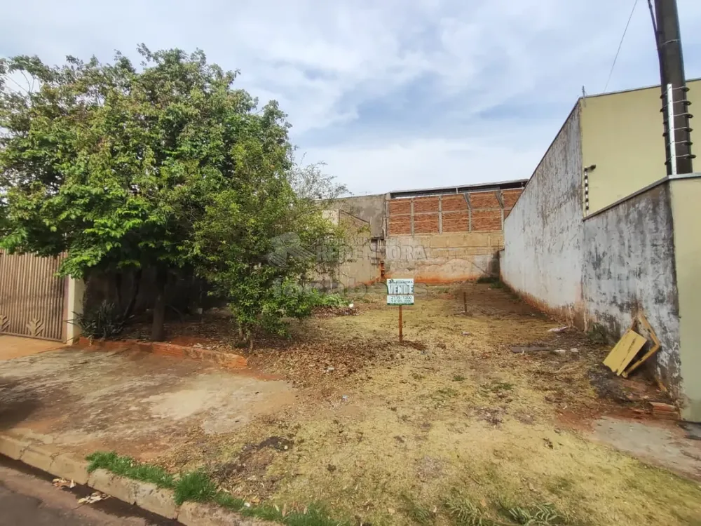 Terreno, 250 m² - Foto 5