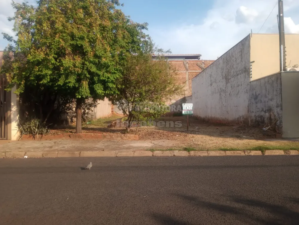 Terreno, 250 m² - Foto 6