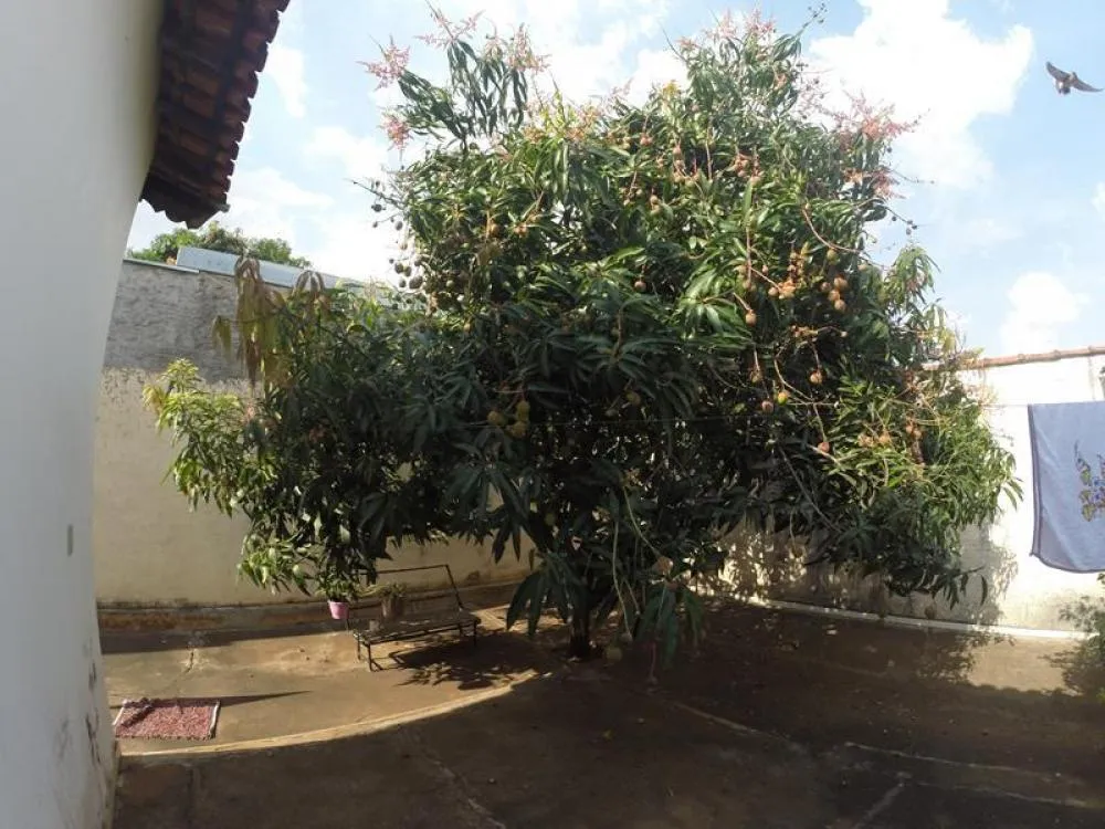 Casa, 3 quartos, 160 m² - Foto 5