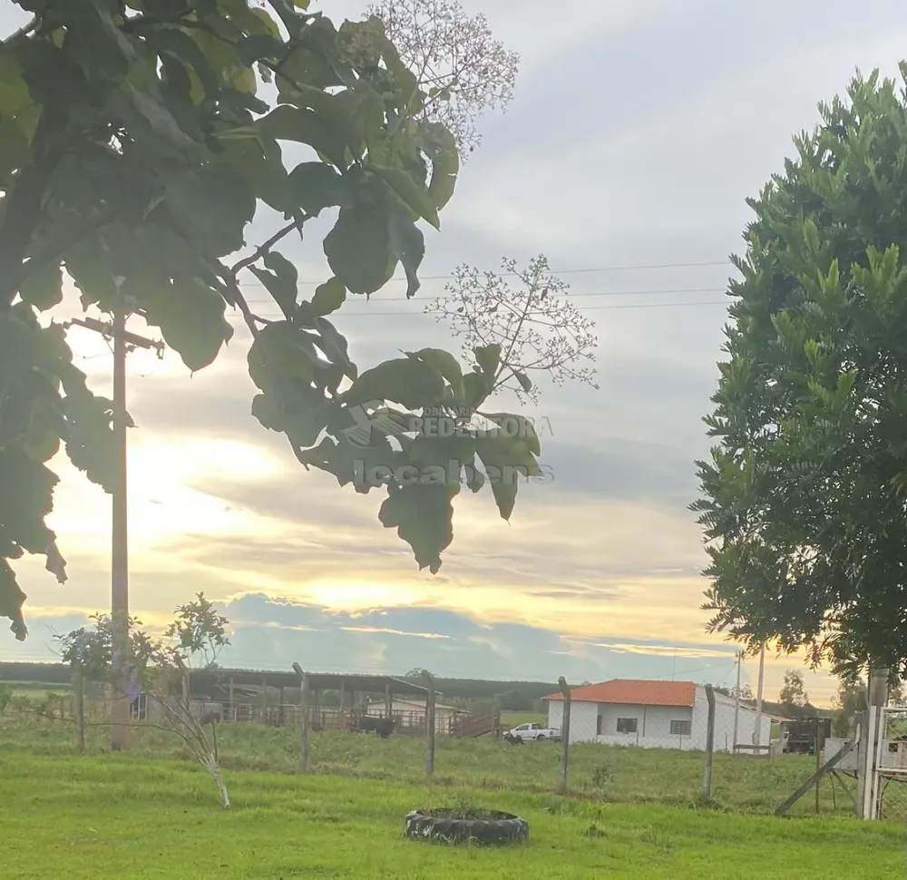 Chácara, 2 quartos, 2 hectares - Foto 2