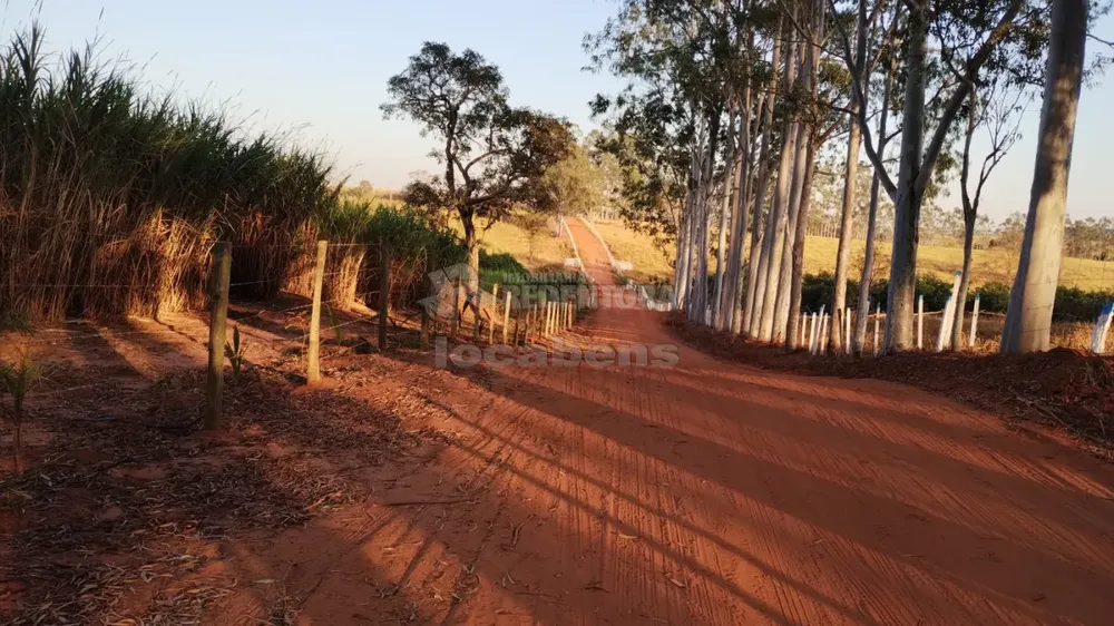 Fazenda, 7 hectares - Foto 4