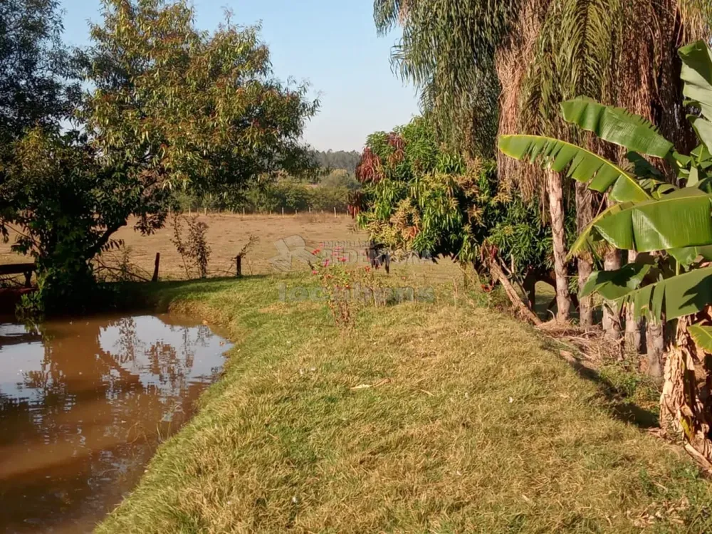 Fazenda, 7 hectares - Foto 3