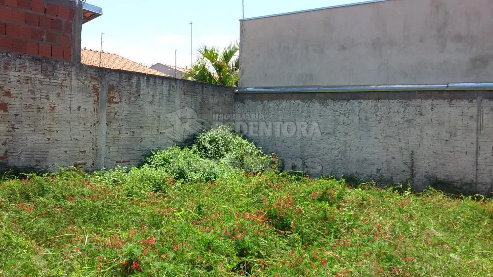 Casa, 2 quartos, 80 m² - Foto 1
