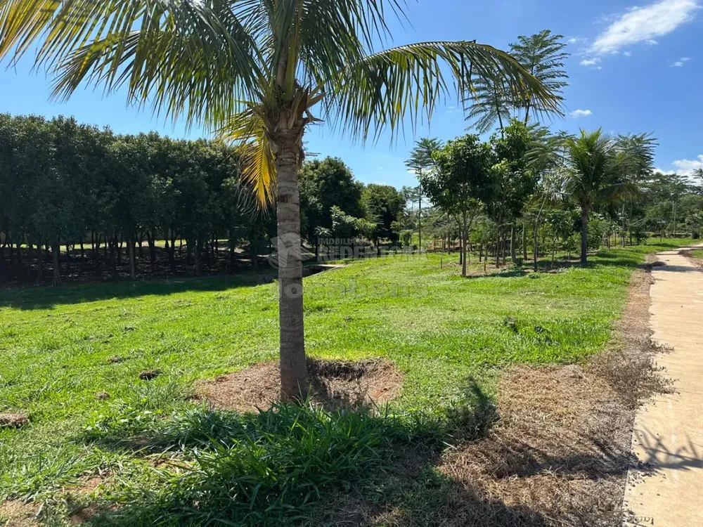 Terreno, 469 m² - Foto 7
