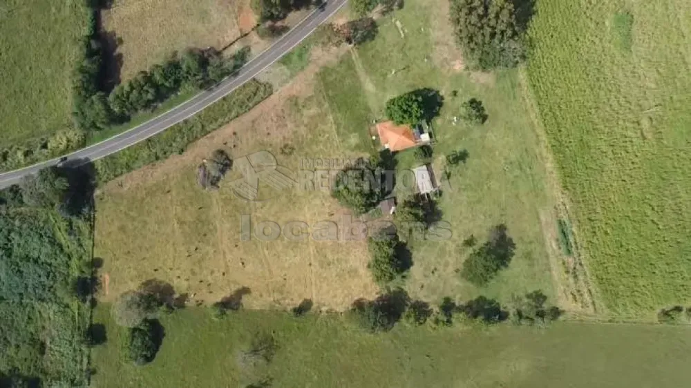 Sítio, 6 hectares - Foto 4