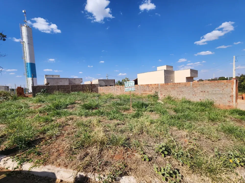 Terreno, 217 m² - Foto 3