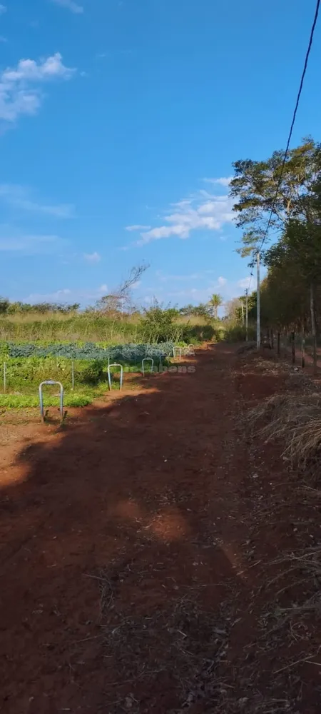 Fazenda, 2 hectares - Foto 2