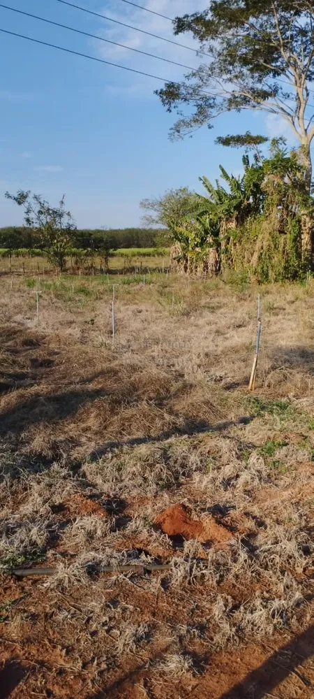 Fazenda, 2 hectares - Foto 6