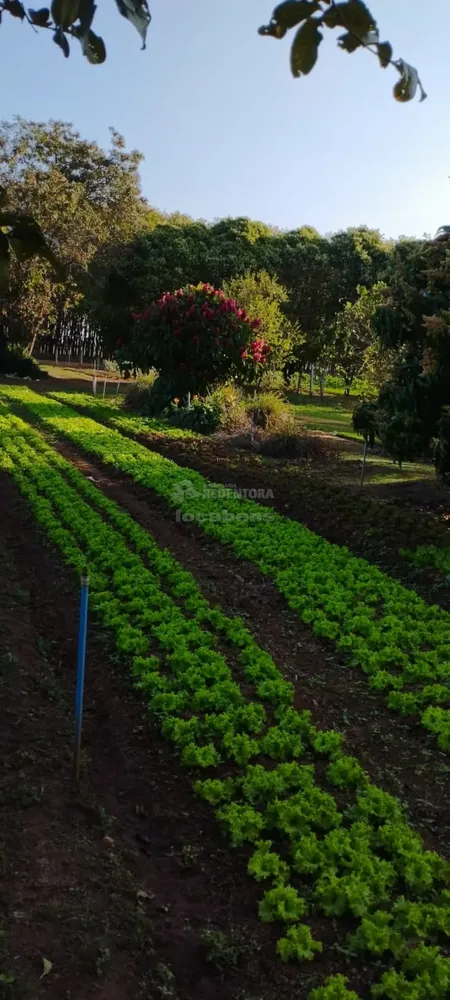 Fazenda, 2 hectares - Foto 4
