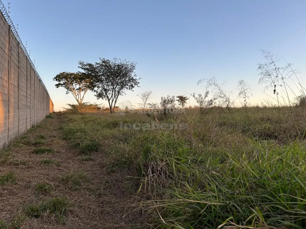 Chácara, 1 hectares - Foto 3