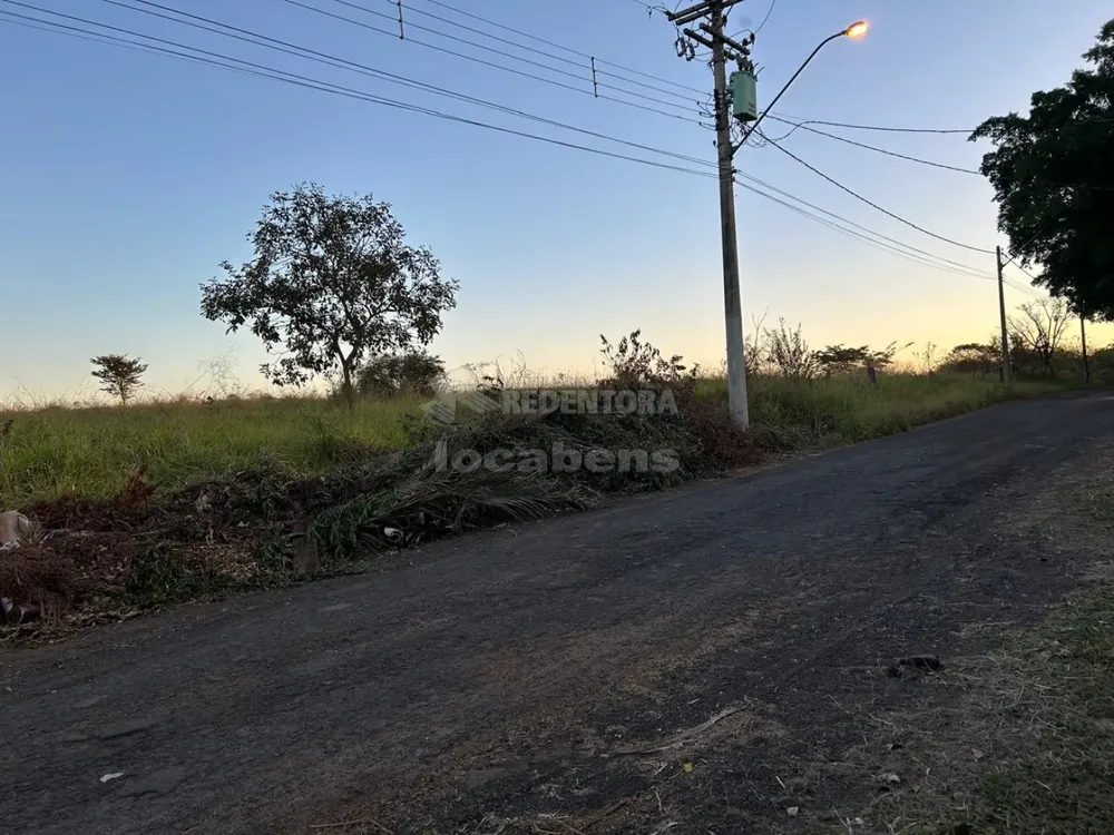 Chácara, 1 hectares - Foto 7