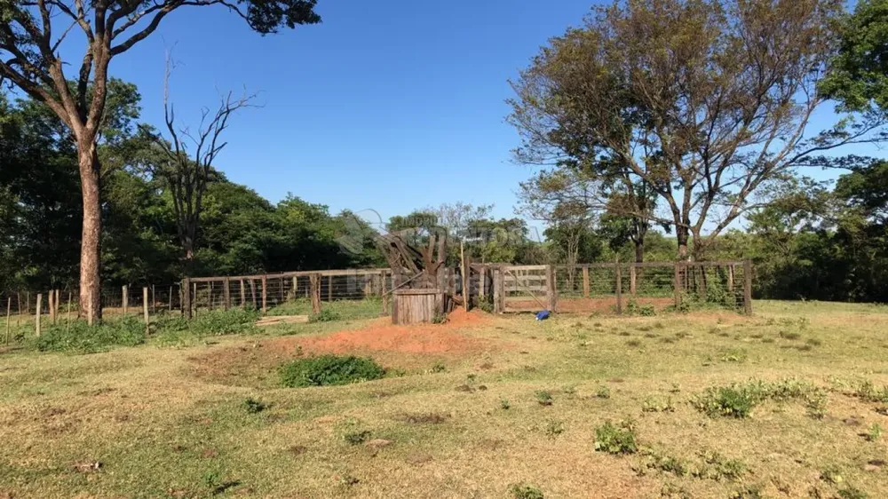Fazenda, 56 hectares - Foto 3