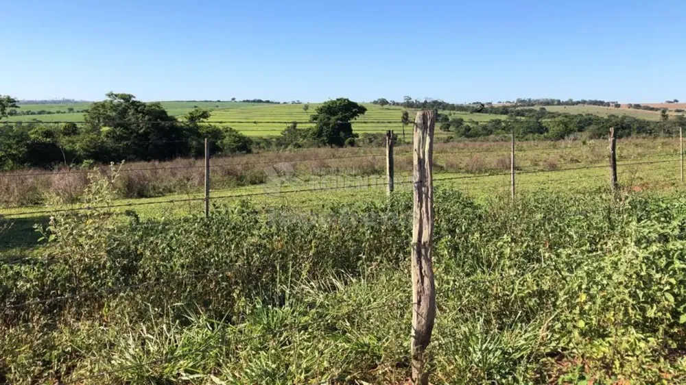 Fazenda, 56 hectares - Foto 1