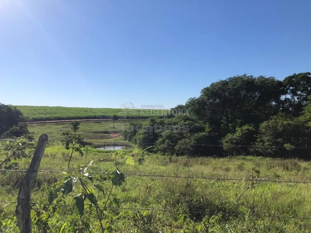 Fazenda, 56 hectares - Foto 7
