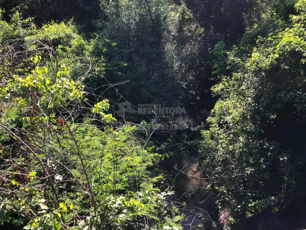 Fazenda, 56 hectares - Foto 6