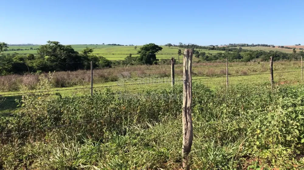 Fazenda, 56 hectares - Foto 2