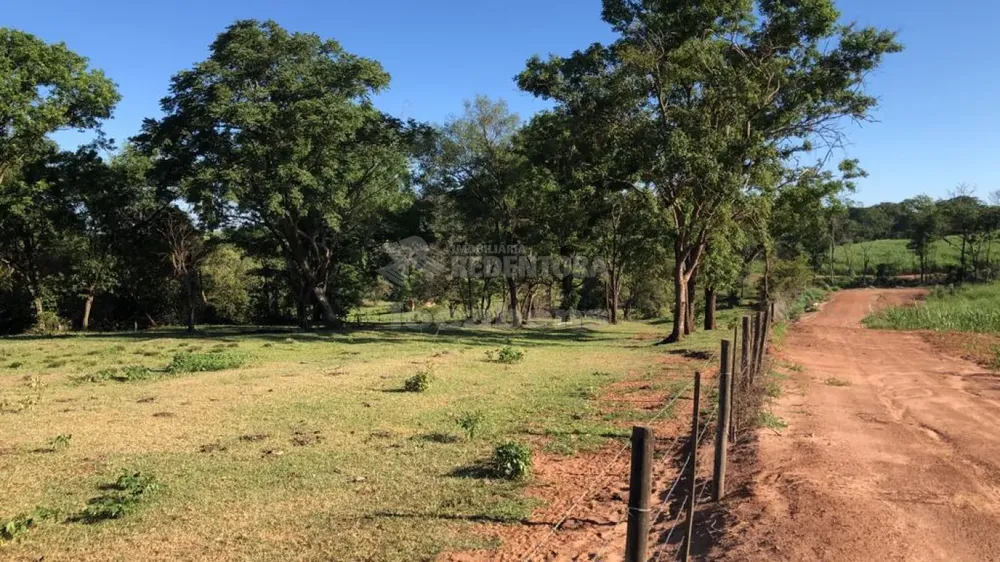Fazenda, 56 hectares - Foto 8