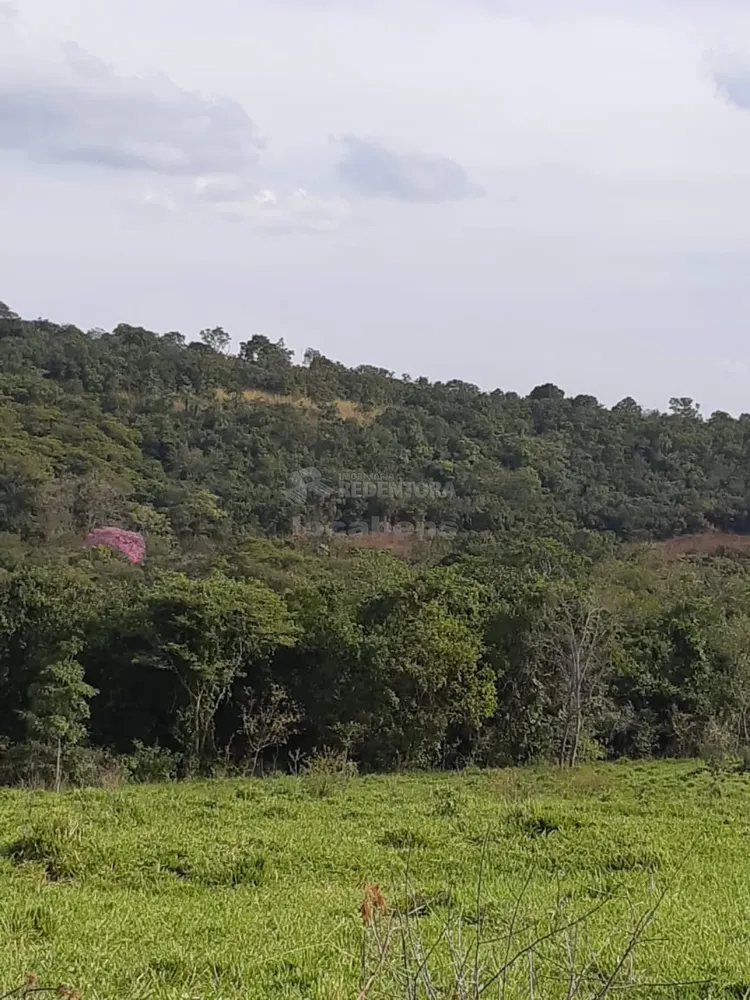 Fazenda, 96 hectares - Foto 6