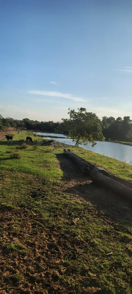 Fazenda, 96 hectares - Foto 1