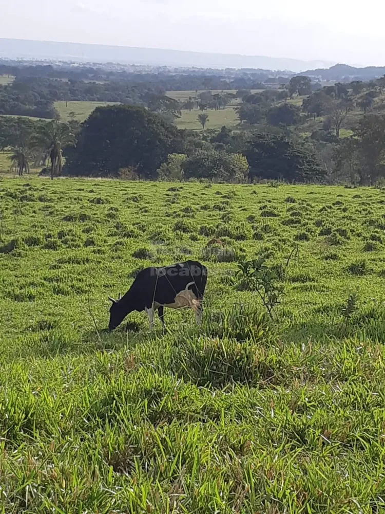 Fazenda, 96 hectares - Foto 4