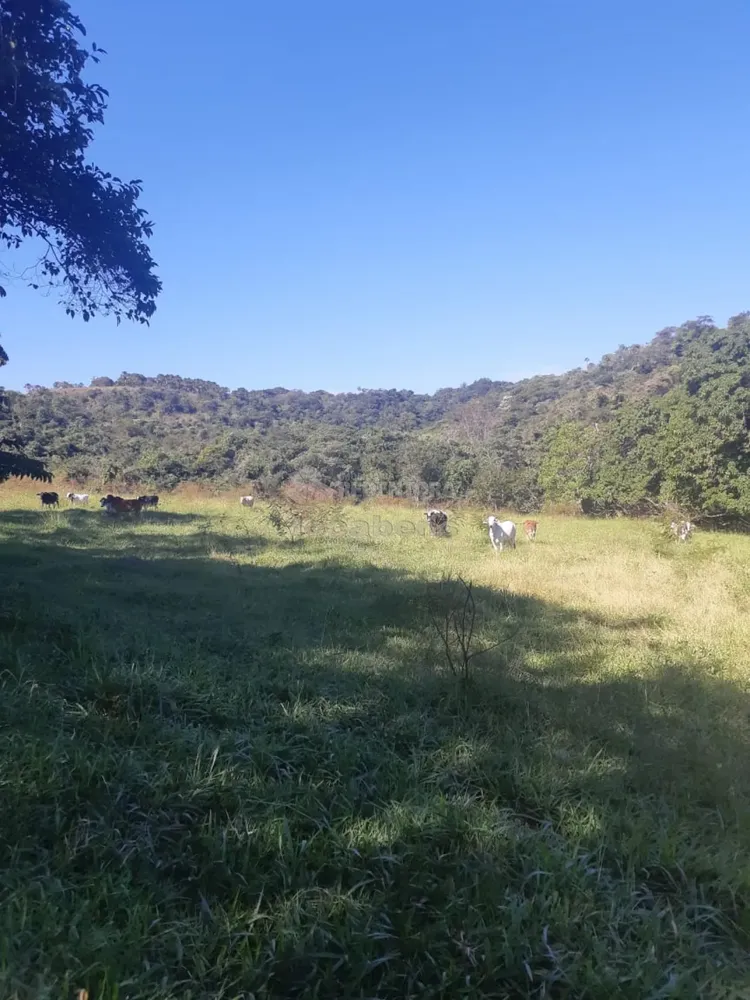 Fazenda, 96 hectares - Foto 3