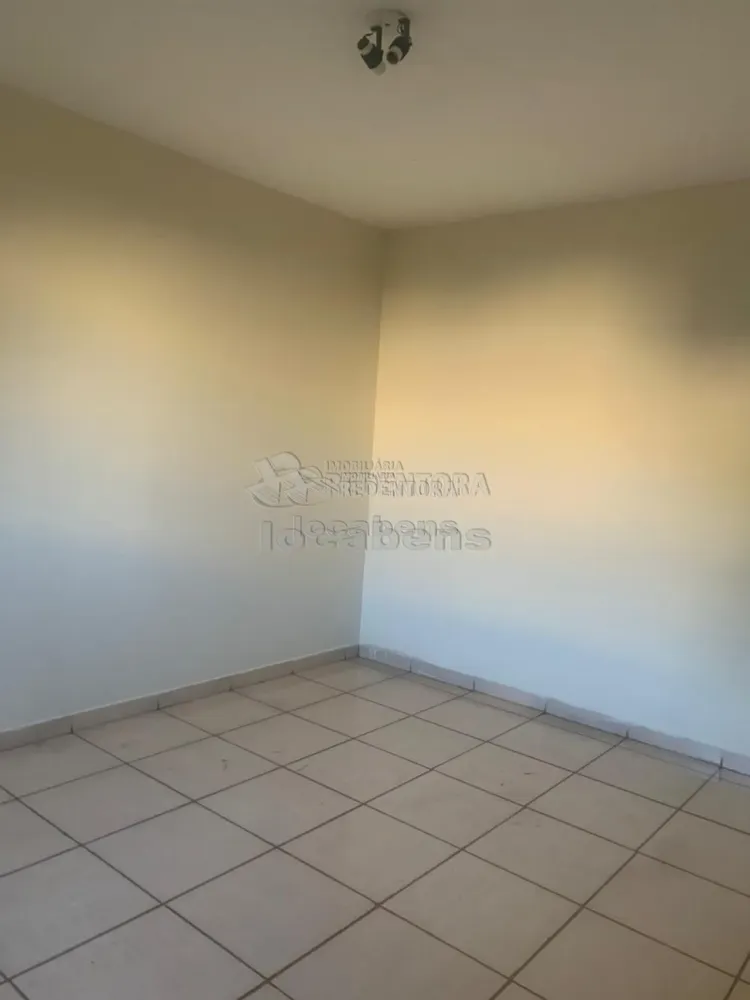 Sítio, 250 m² - Foto 3