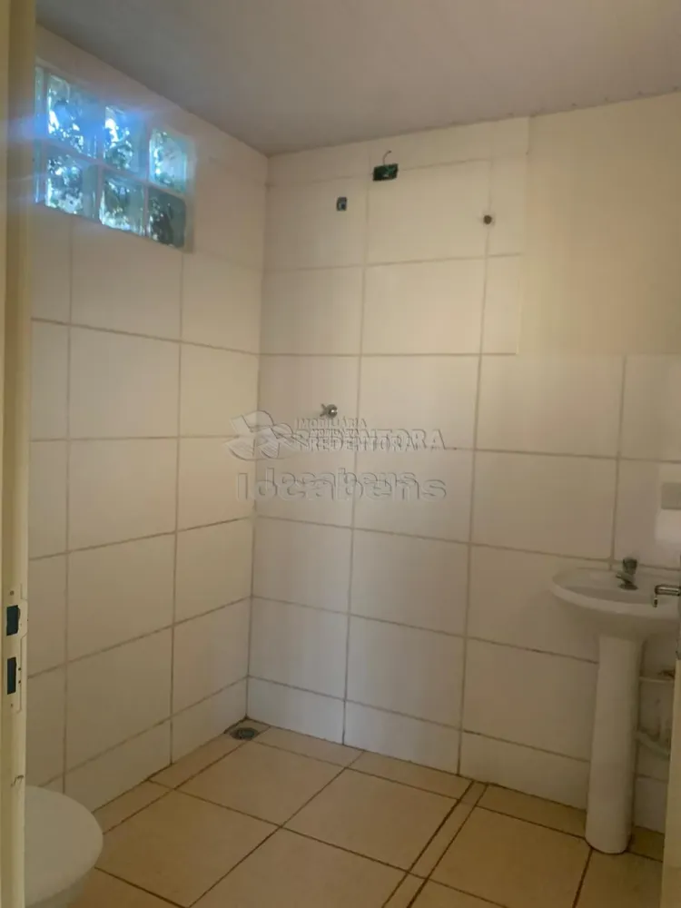 Sítio, 250 m² - Foto 4