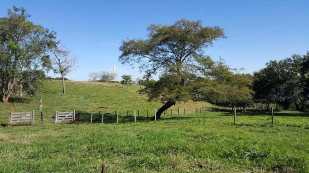 Sítio, 4 quartos, 13 hectares - Foto 4