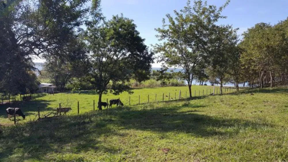 Sítio, 4 quartos, 13 hectares - Foto 6