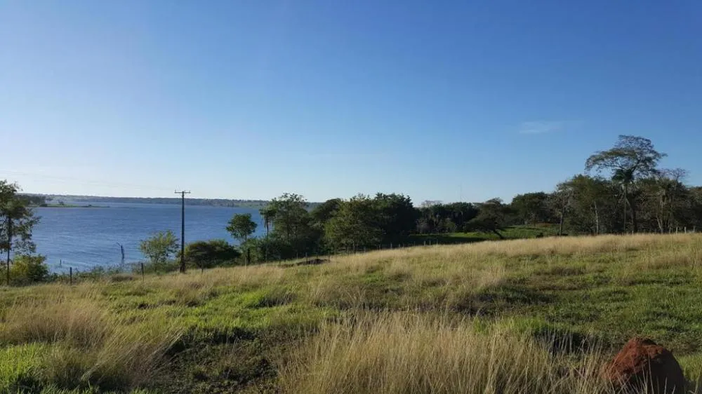Sítio, 4 quartos, 13 hectares - Foto 7