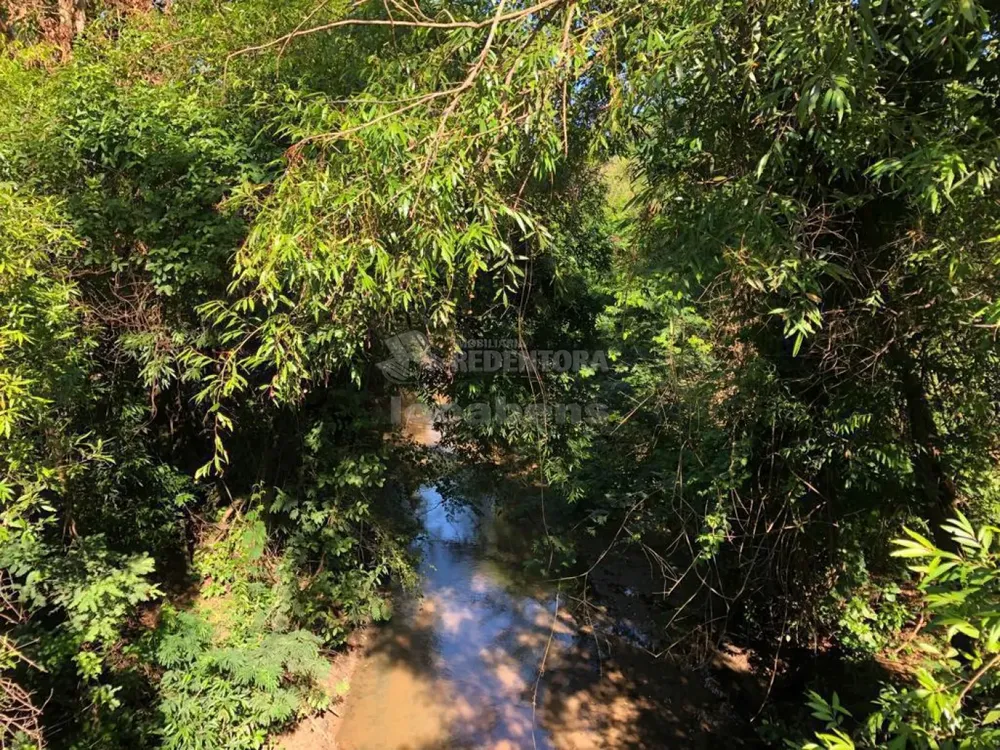 Fazenda, 56 hectares - Foto 7